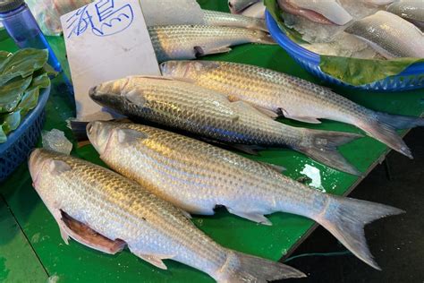 kampung魚：解鎖營養豐富、可持續美味的鄉村養殖魚類