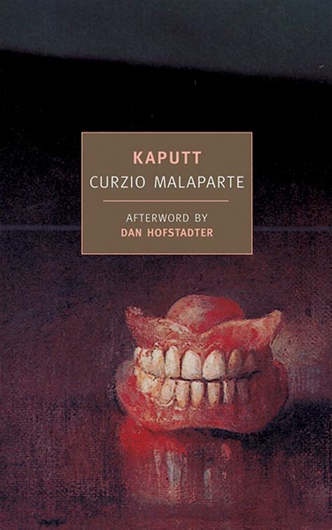 kaputt new york review books classics PDF