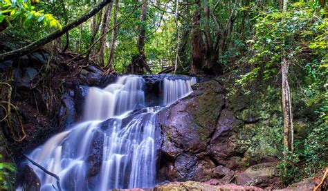 karura forest