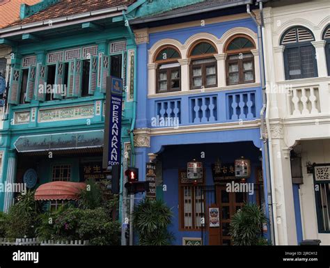 katong peranakan food