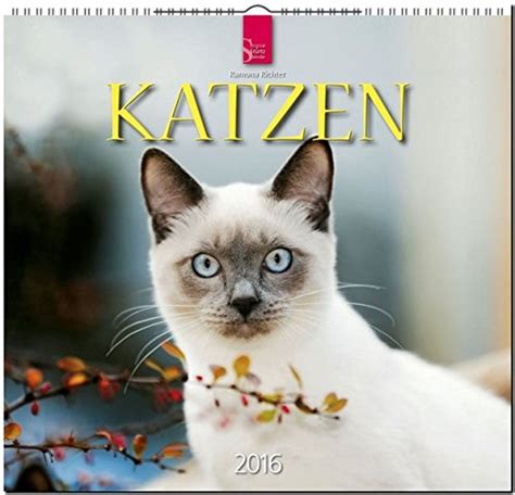 katzen 2016 broschrenkalender fotos 8595054229832 PDF