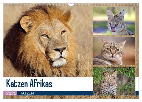 katzen afrikas wandkalender 2016 quer PDF