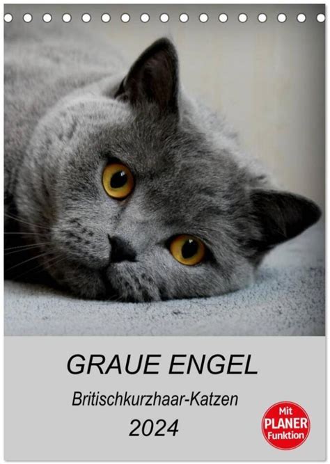 katzen sind engel tischkalender 2016 PDF