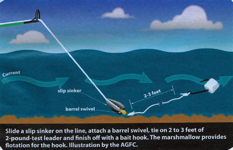 kayak fishing freshwater rigging techniques Kindle Editon