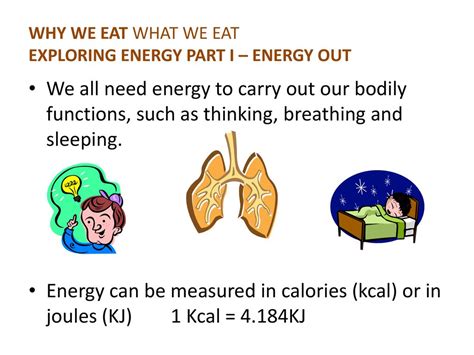 kcal in Calories: Exploring the Energetic Currency of Our Bodies