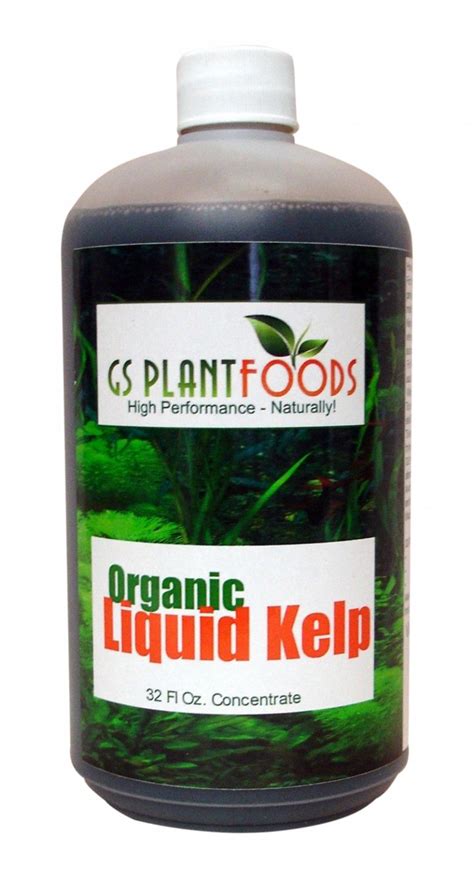 kelp liquid fertilizer