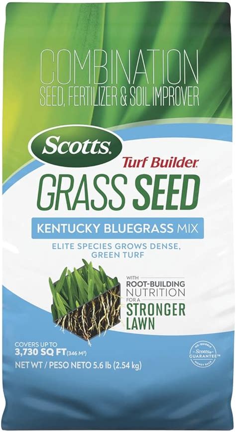 kentucky bluegrass fertilizer