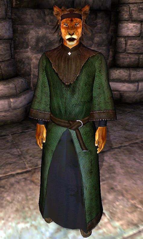 khajiit in oblivion