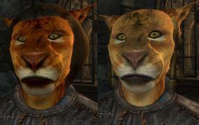 khajiit oblivion