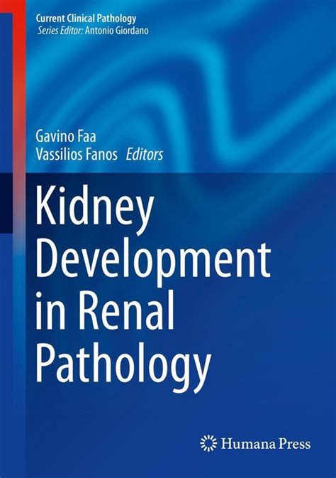 kidney development in renal pathology current clinical pathology PDF