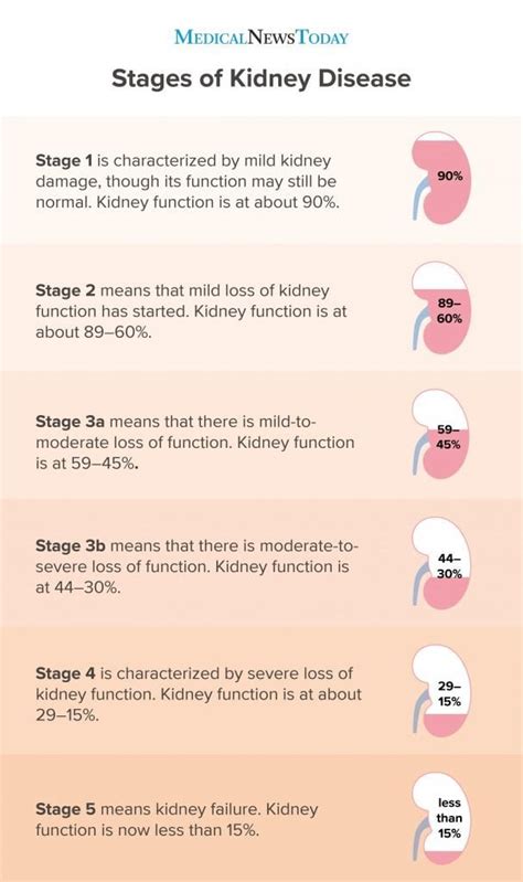 kidney failure the facts PDF