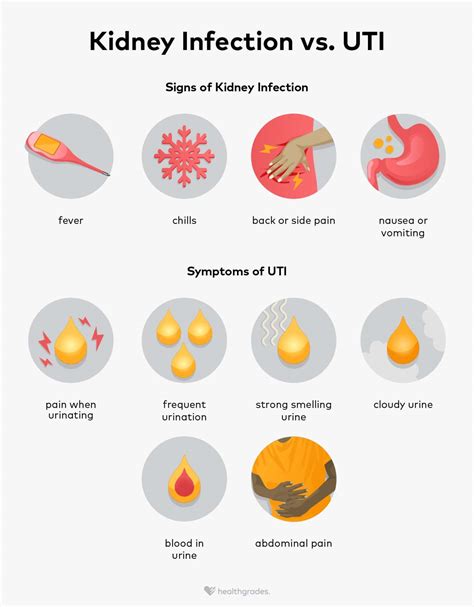 kidney infection vs uti