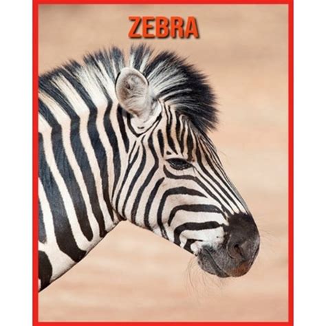 kinderbuch erstaunliche fakten bilder zebras ebook Epub