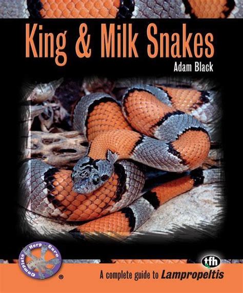 king and milk snakes complete herp care Kindle Editon