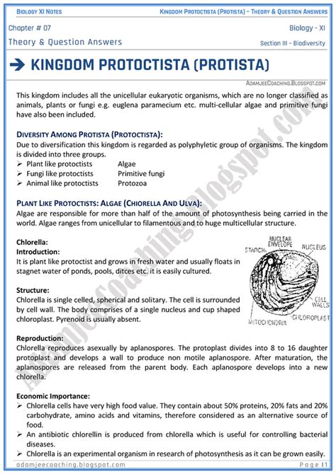 kingdom protista workbook answers Epub