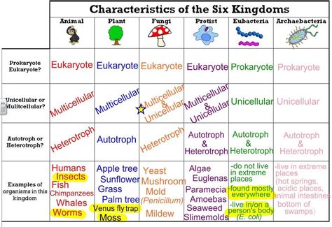 Kingdoms And Domains Chart