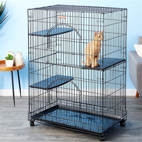 kitten cage