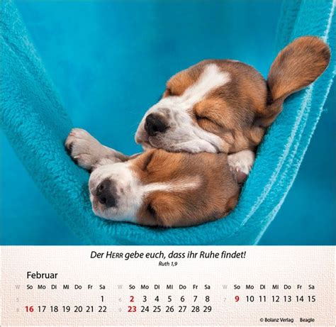 kleine beste tierfreunde tischkalender 2016 Epub