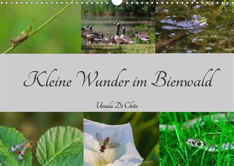 kleine wunder bienwald wandkalender 2016 Doc