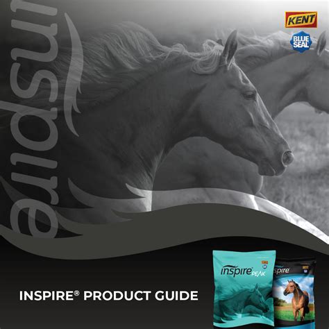 kng america user guide Epub