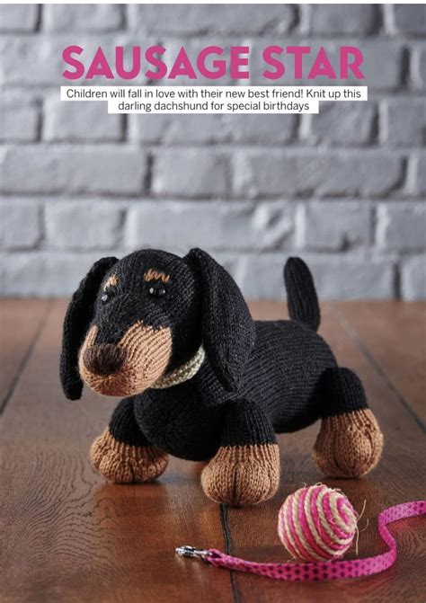 knit your own dog easy to follow patterns for 25 pedigree pooches Kindle Editon