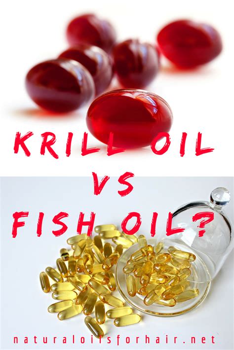 krill oil 香港：什麼是 krill oil？