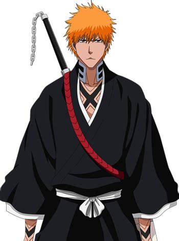 kurosaki ichigo bbs