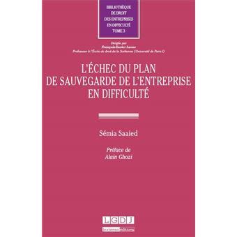 l chec plan sauvegarde lentreprise difficult Kindle Editon