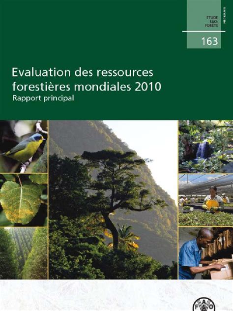 l valuation ressources foresti res mondiales r v le ebook Epub