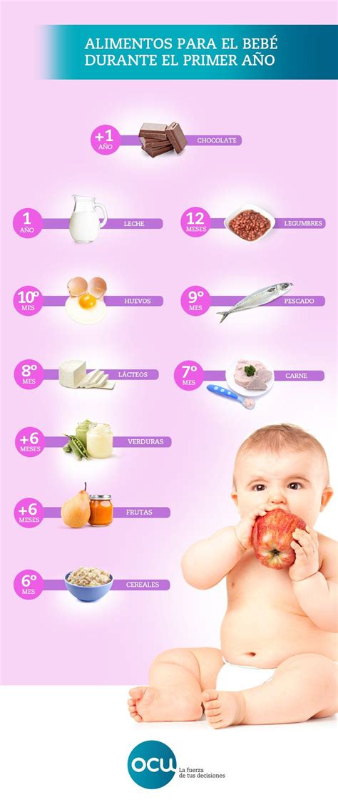 la alimentacion del bebe de 0 a 24 meses embarazo y primeros anos Epub