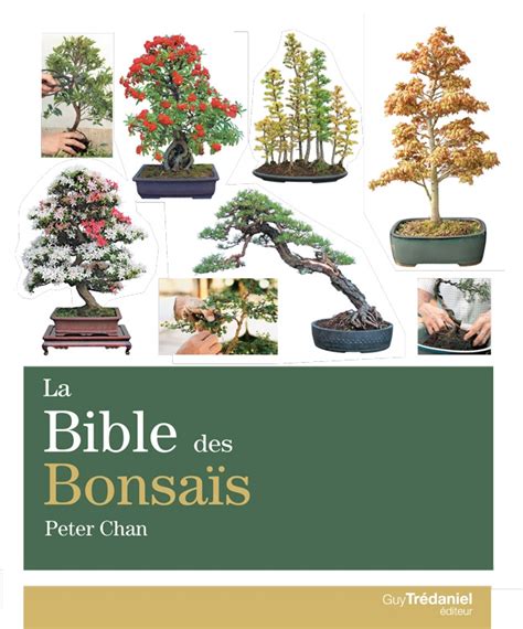 la bible des bonsais full book Doc
