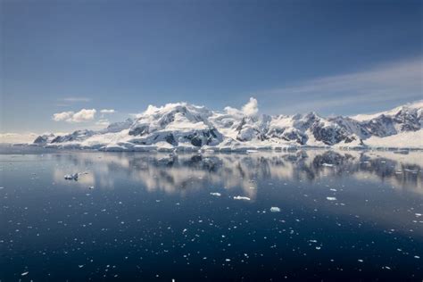 la natura dellantartide Reader