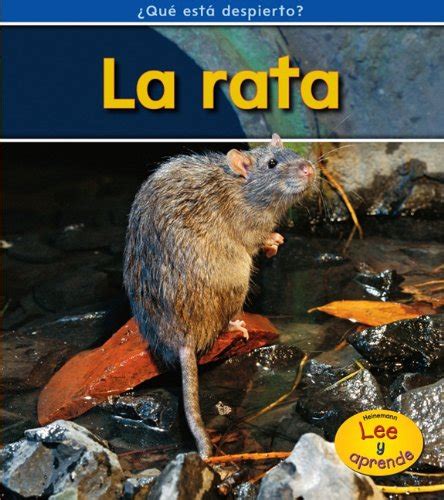 la rata = rat que esta despierto? spanish edition PDF