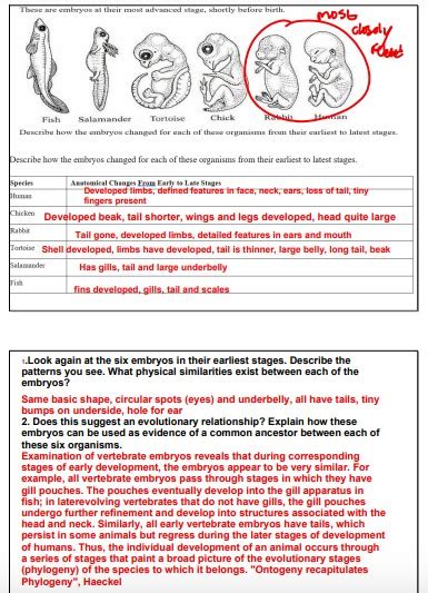 lab 23 evidence of evolution answer key Doc