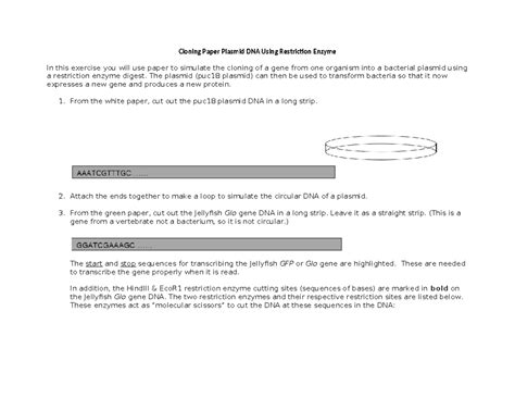 lab cloning paper plasmid Doc