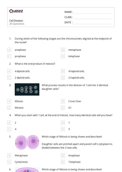 lab ex 4/chap 3 cell division quiz