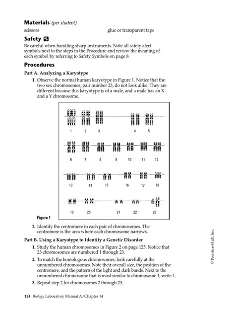 lab experiment the human genome making karyotypes answer key Doc