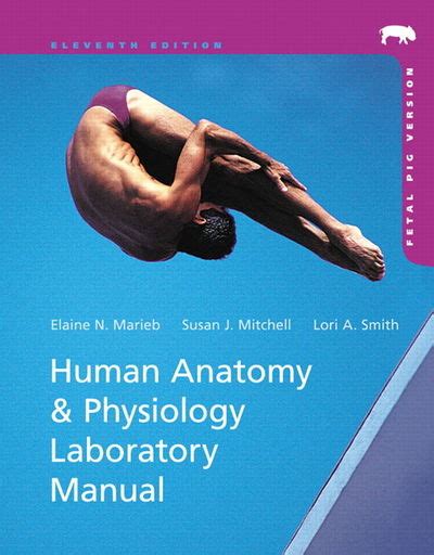 lab manual anatomy physiology 11th edition marieb Doc