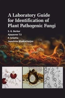 laboratory guide for fungi identification PDF