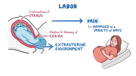 labour pains labour pains Doc