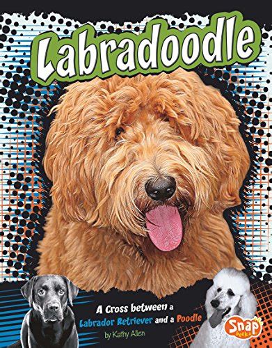 labradoodle designer dogs kathy allen ebook Reader