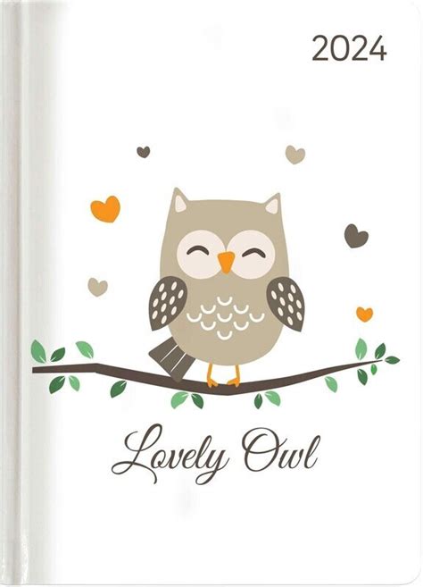 ladytimer slim owls 2016 taschenkalender Kindle Editon