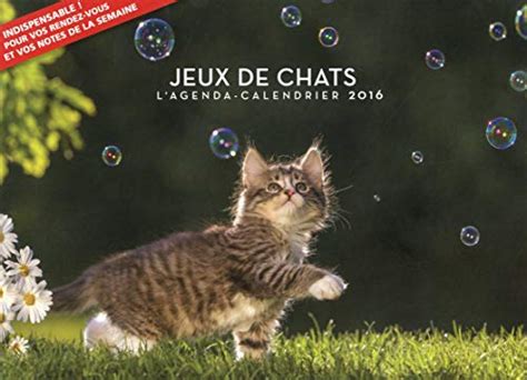 lagenda calendrier jeux chats 2016 collectif PDF
