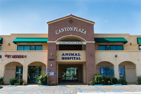 lake elsinore animal hospital