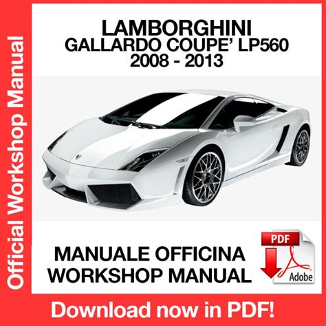 lamborghini gallardo user manual Reader