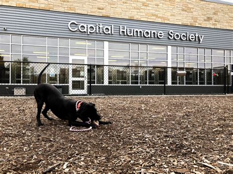 lancaster county humane society lincoln ne