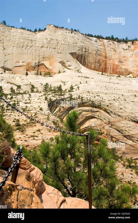 landing safely on a solid rock Reader