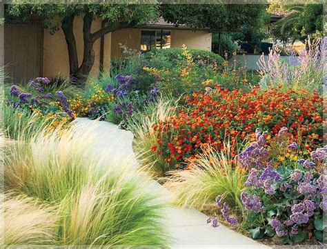 landscape plants for california gardens PDF