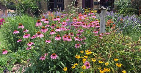 landscaping with native plants of wisconsin Reader