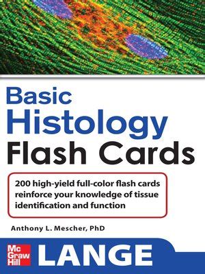 lange basic histology flash cards lange flashcards Doc